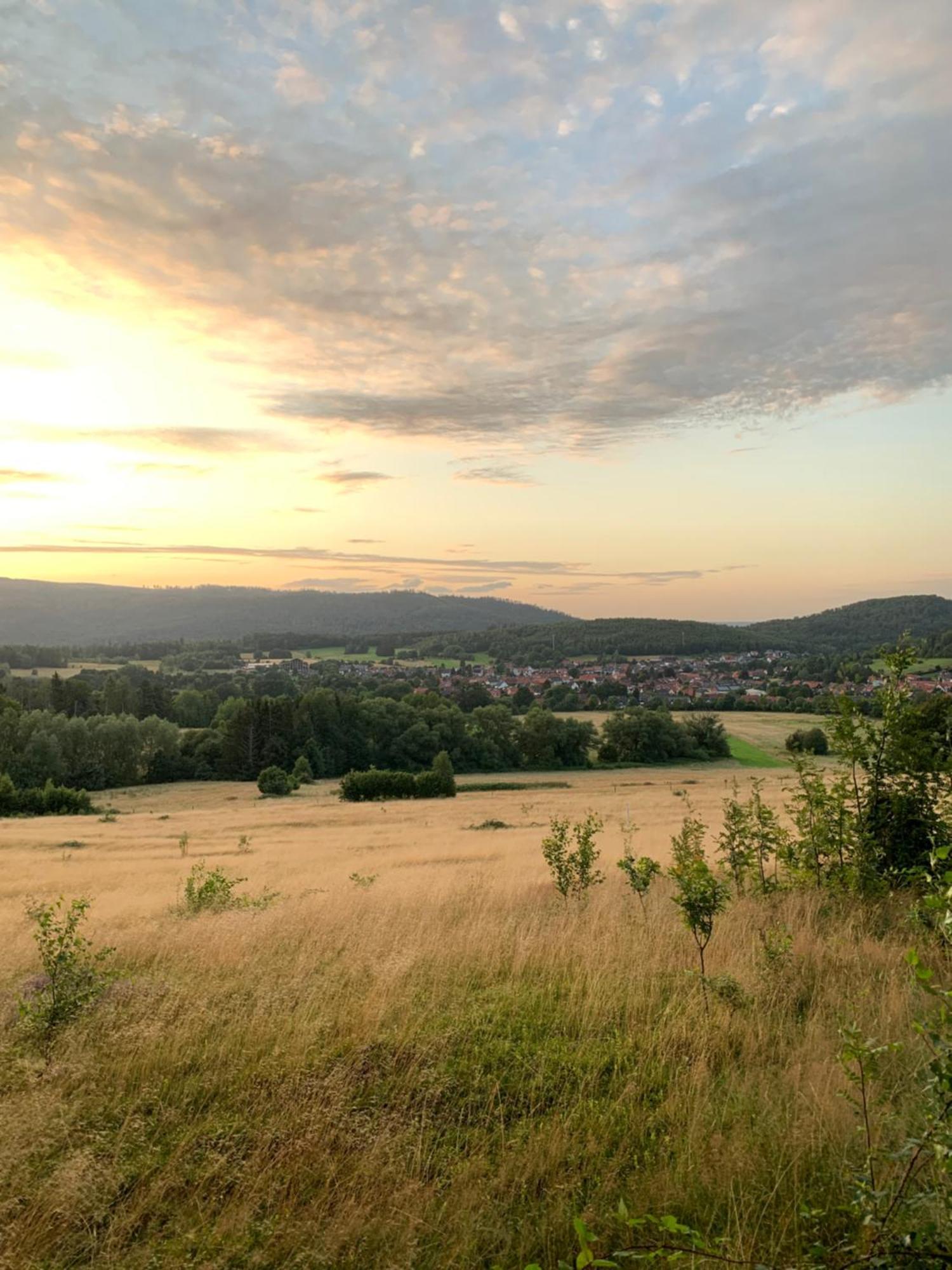 Wolfs-Blick Villa Langelsheim Eksteriør bilde
